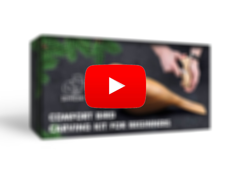 video Hobby paket ptica udobja